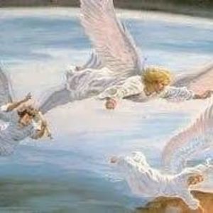 Meet your Posher, Patsy